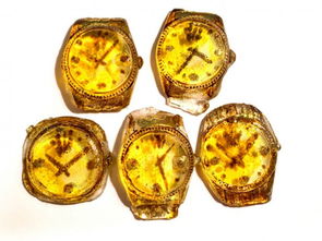 sweet saba 一個來自魔法世界的糖果故事