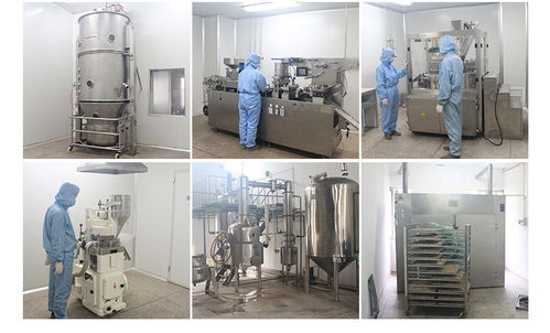 工廠定制食品壓片糖果oem代加工定制30萬片起定做圓形片劑維生素